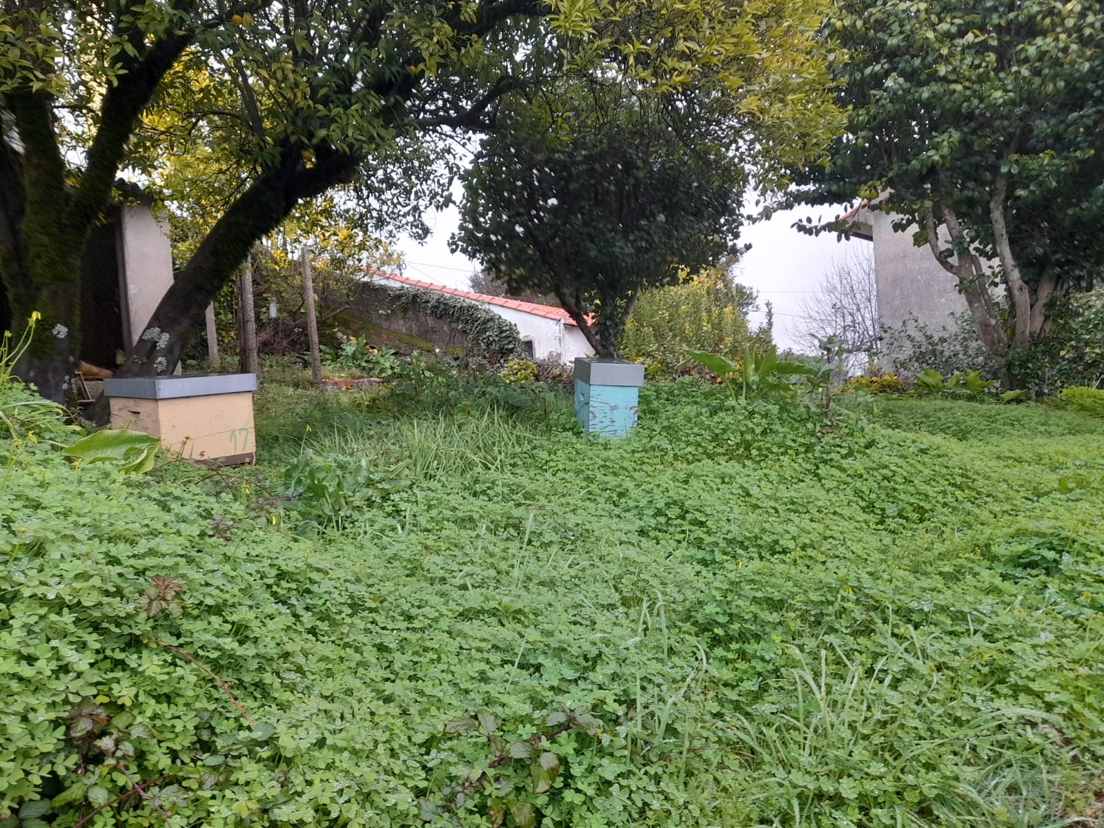 Fachada da moradia